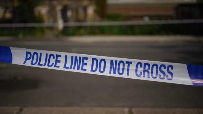 A 32-year-old woman is fighting for her life after being stabbed during the Notting Hill Carnival