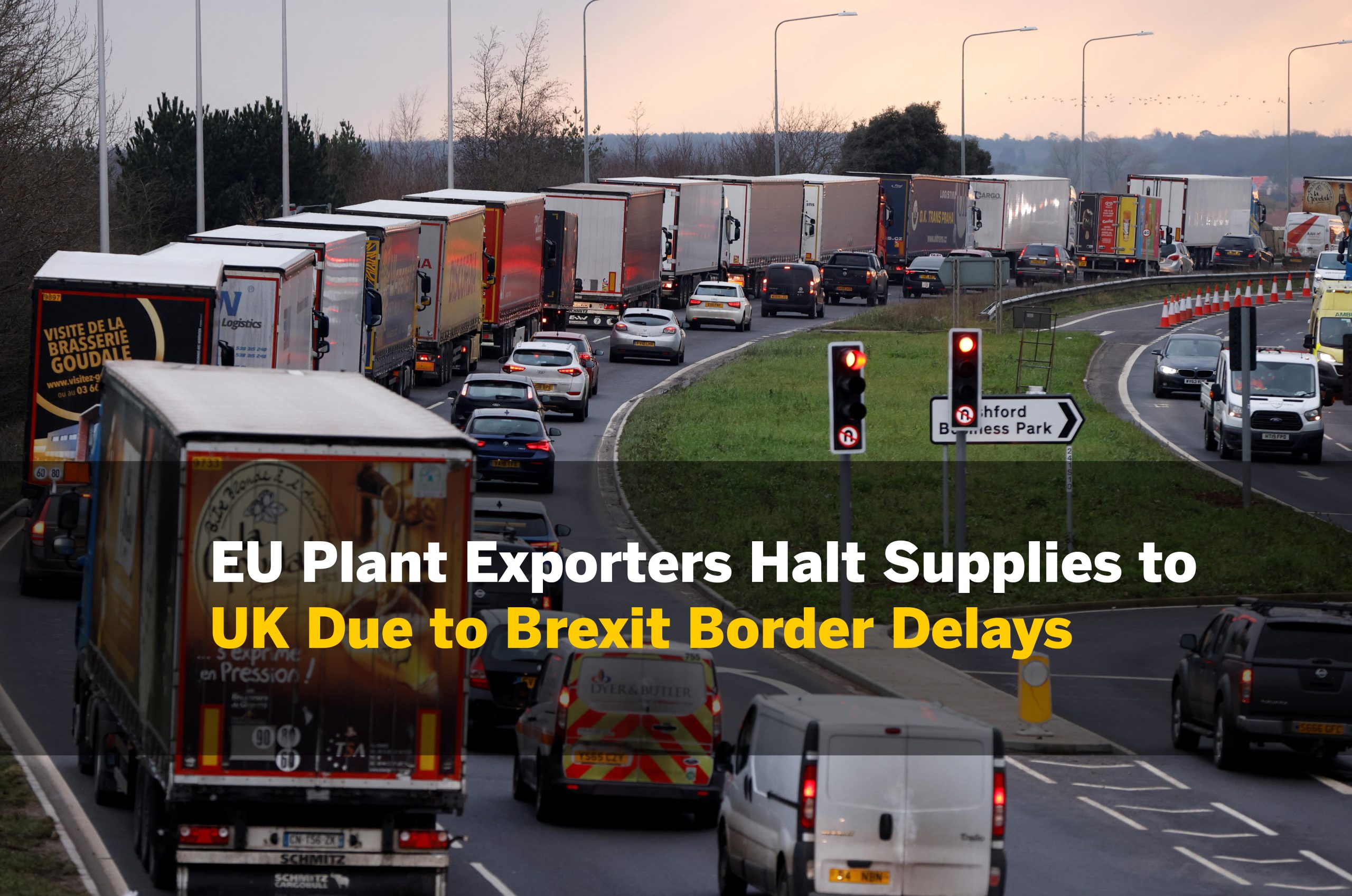 European Plant Exporters Reduce Supplies to the UK Due to Strict Border Checks